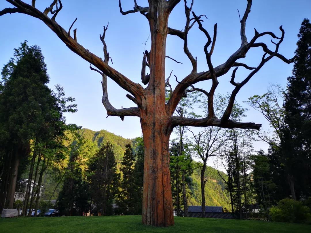 去张家界住哪里比较方便游玩,张家界旅游攻略住在哪最好