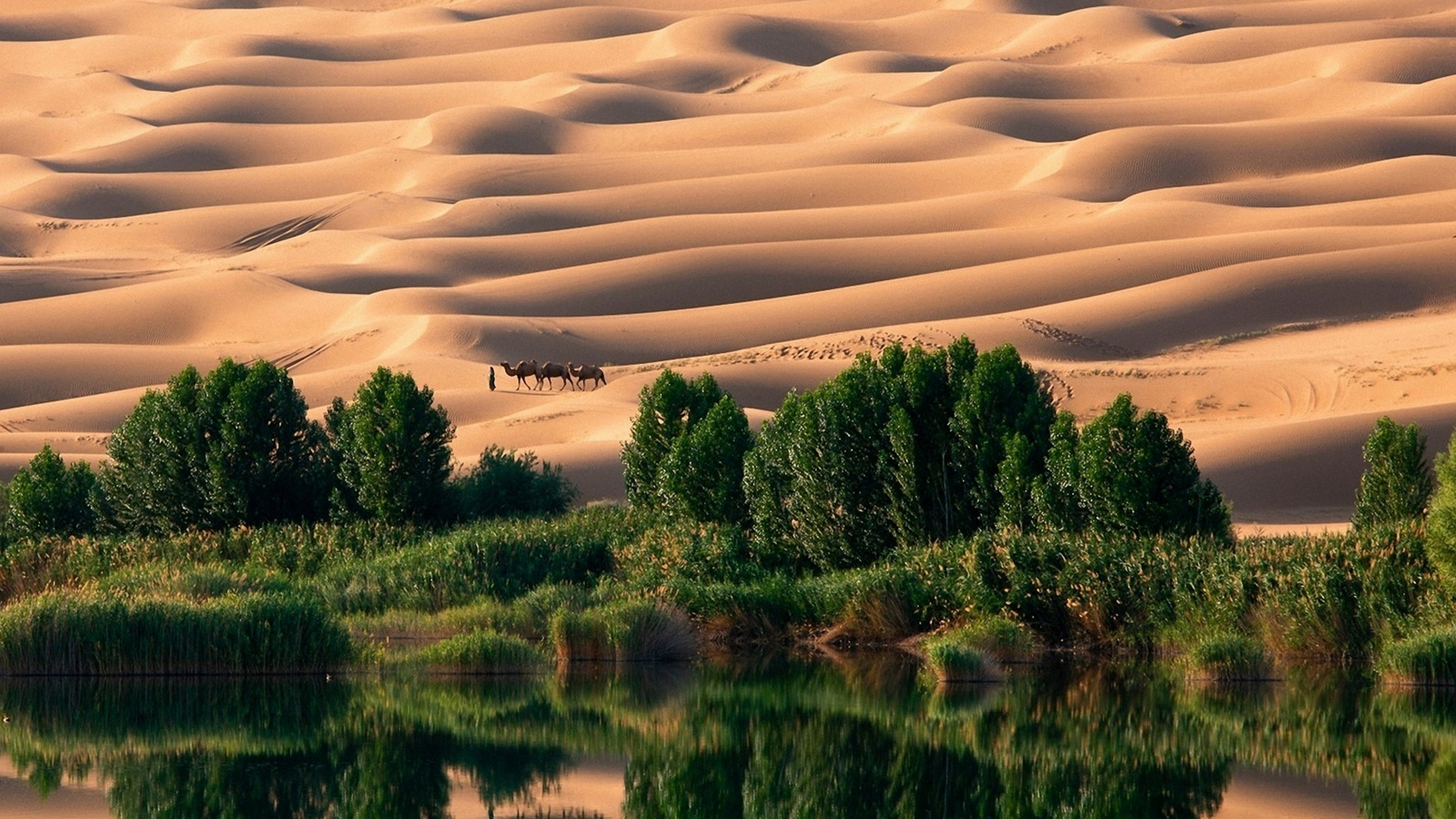 清新护眼的自然风景桌面壁纸,风景壁纸图片大全高清自然风景