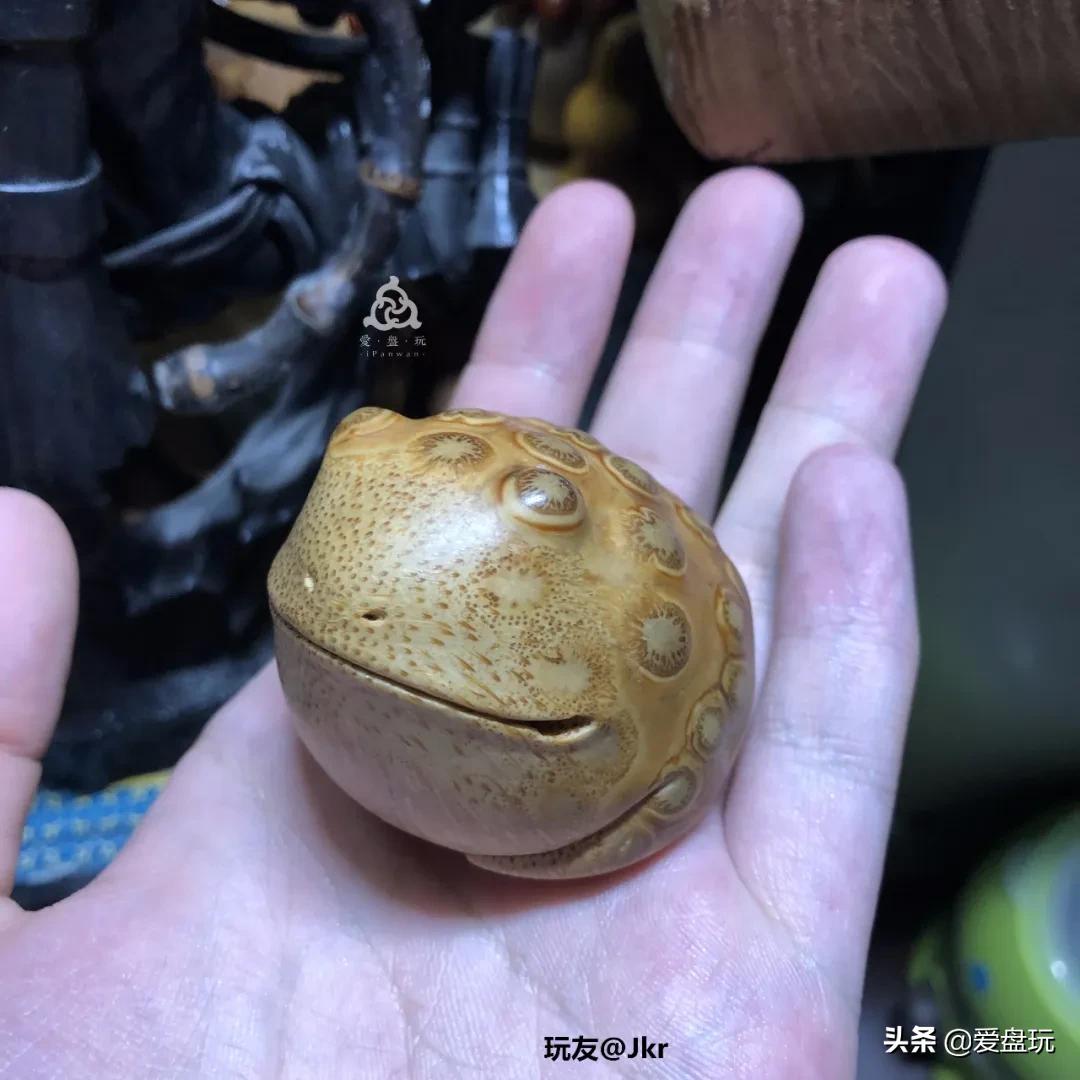 这东西有意思！有人爱到骨子里，有人看都不敢看