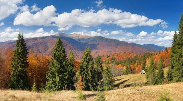 期货如何每日1万收益,期货日内盈利13万解读