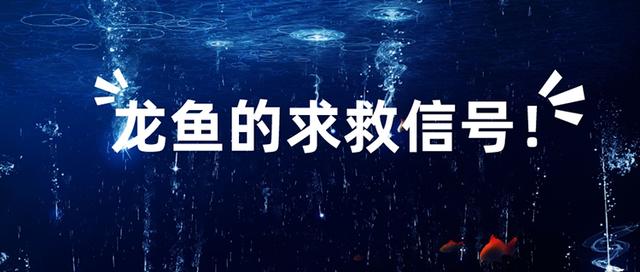 sos求救信号用眼睛表示,sos求救信号按错了没事吧