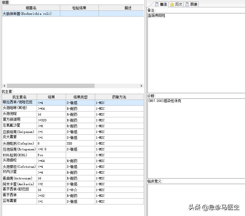一个感染性休克患者的诊治过程
