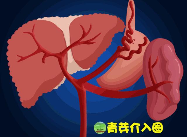 乙肝病人出现吐血便血大概活多久,乙肝吐血止血治疗方法