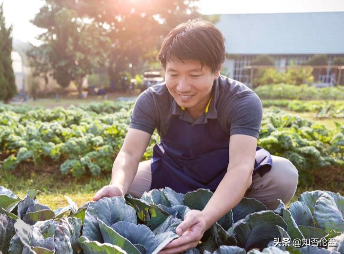回农村创业，不知道该做什么？不妨尝试这几个，干好了不比打工差