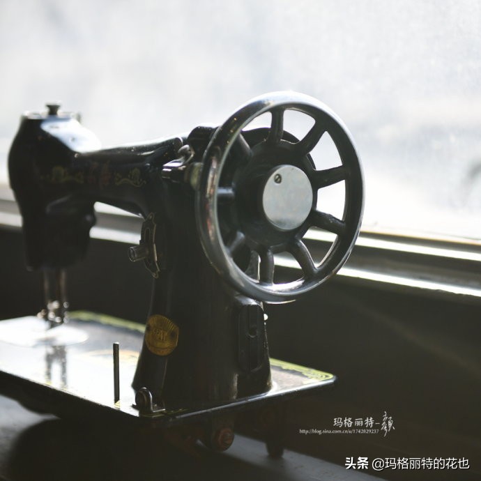 网红餐厅“胡桃里”的绿植布置|行摄