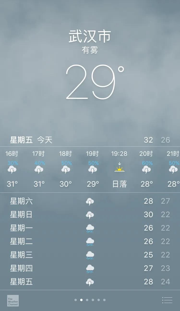 梅雨季节狗狗皮肤病怎么办,梅雨季猫癣症状