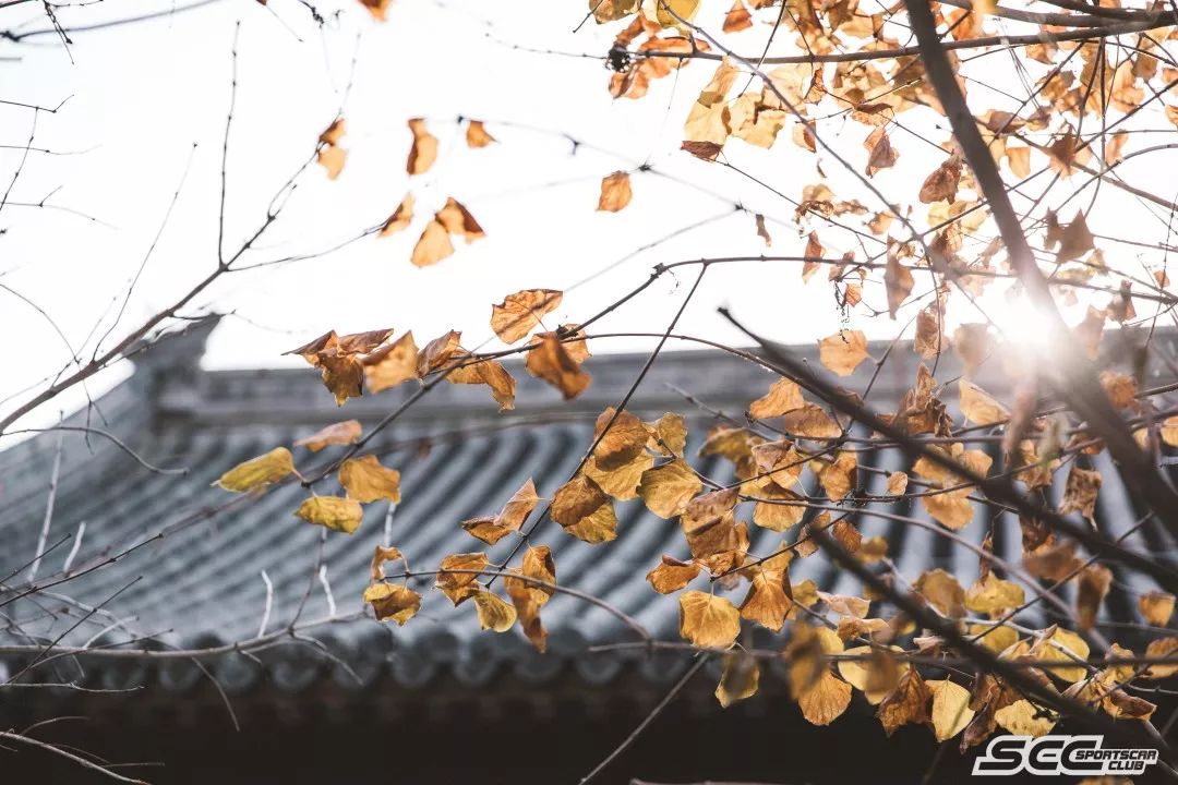 要健康精致！SCCCOFFEEMAP第一弹