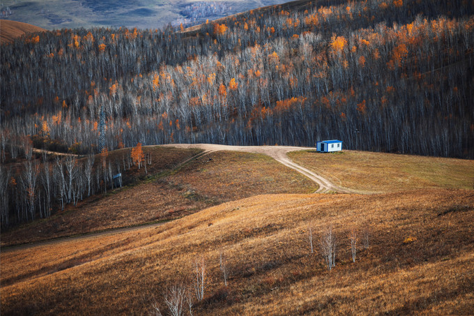 自驾呼伦贝尔｜七千里路云和月，写给秋天和自己的故事