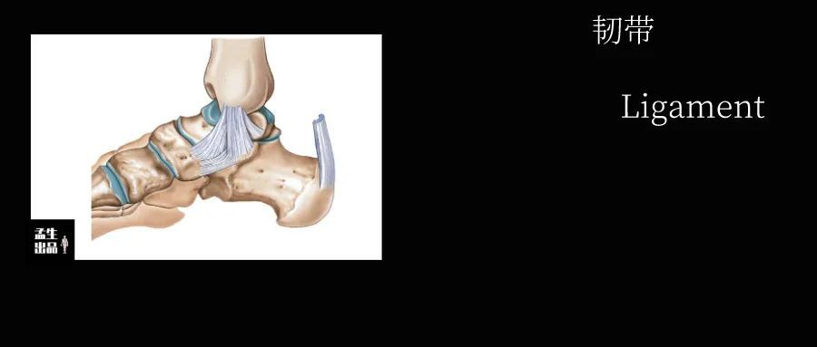 拉筋越拉反而越紧了呢,正常拉筋的正确方法