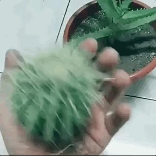 甭管啥就盘它,甭管什么东西盘它原版