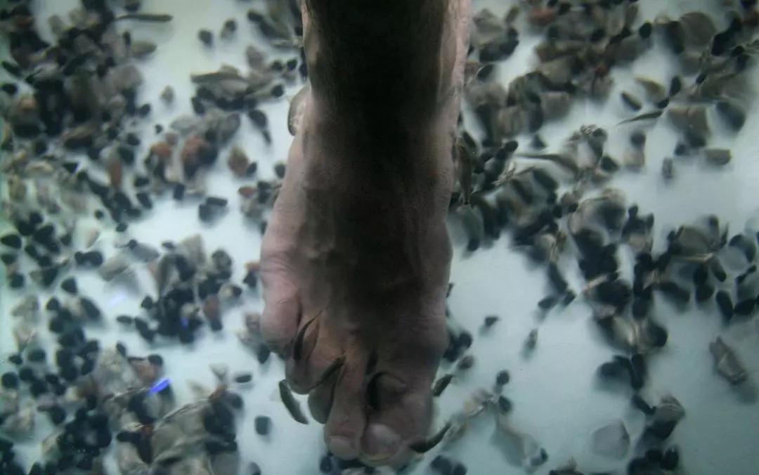 袜子裤子能不能一起洗,袜子与裤子可以一起泡不