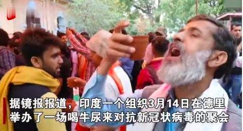 牛尿治新冠病毒,印度牛尿治新冠现场