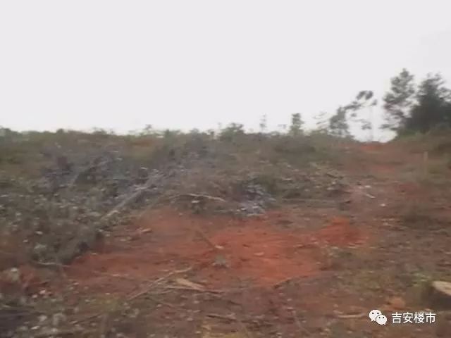 吉安最新地块成交,吉安房地产楼面价