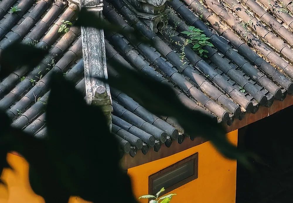 做市场的思路和步骤文本,市场分析与市场预测