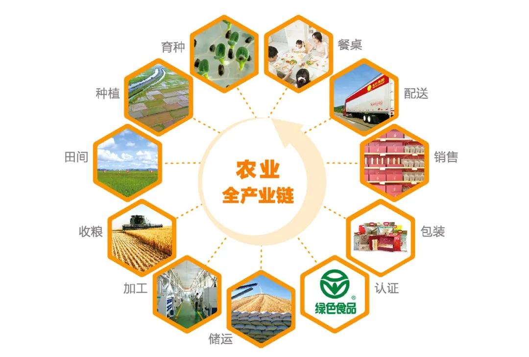 东方集团事迹大全,东方集团公司的2019年度报告