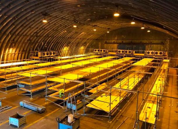 病毒肆虐，英国做最坏打算，将前皇家空军基地被改造成新冠停尸房