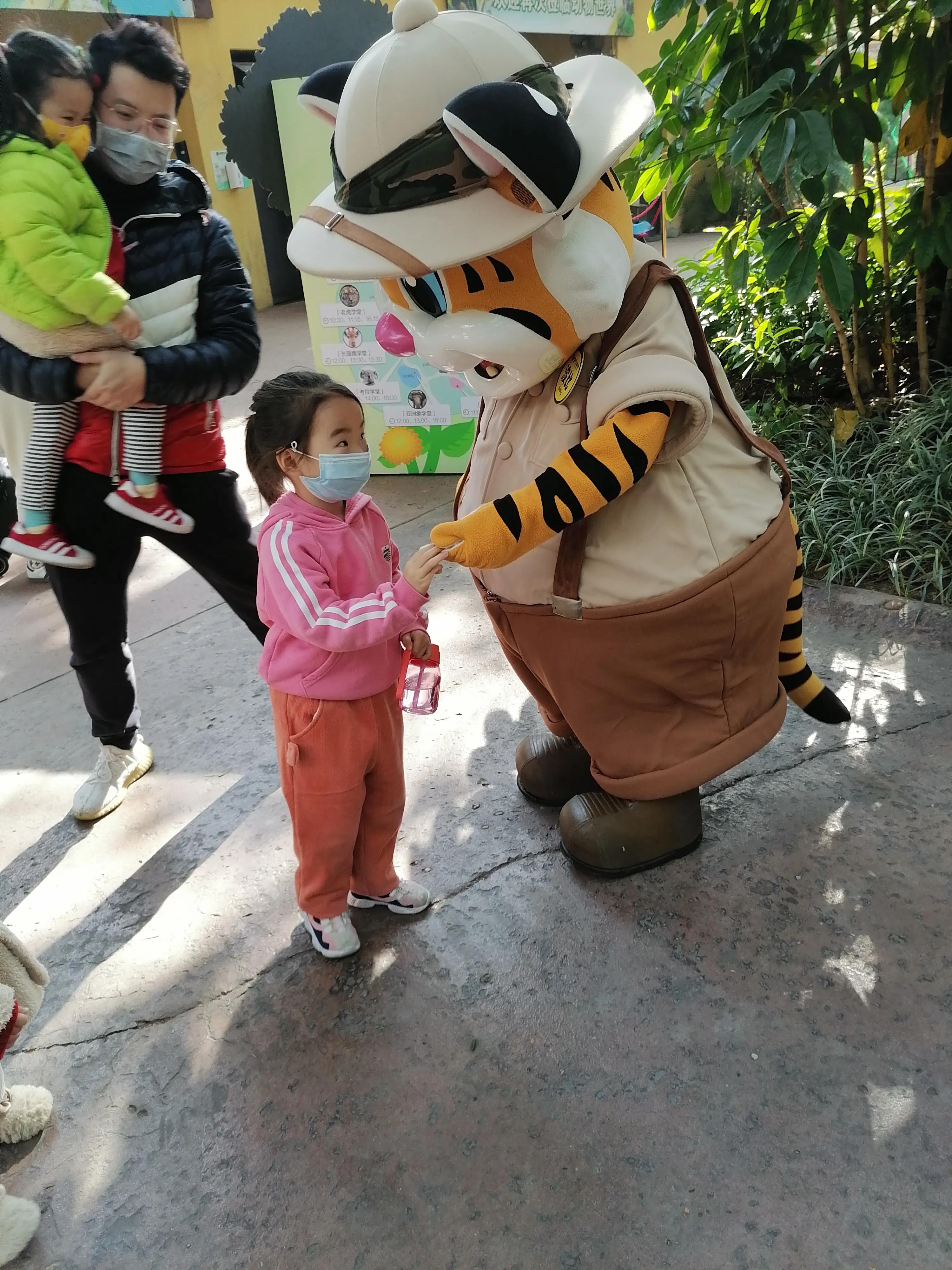 广州长隆动物世界好玩到什么地方,广州长隆动物世界有什么玩