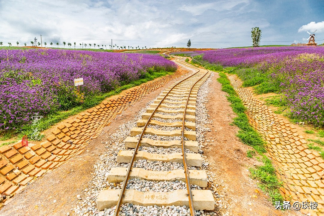 大理薰衣草庄园,七彩云南薰衣草庄园