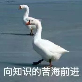 步步惊心女主怀孕要生产,步步惊心生儿育女