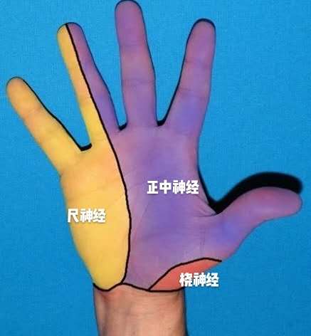 就医问诊该和医生说哪些信息,在医院问大夫哪些内容