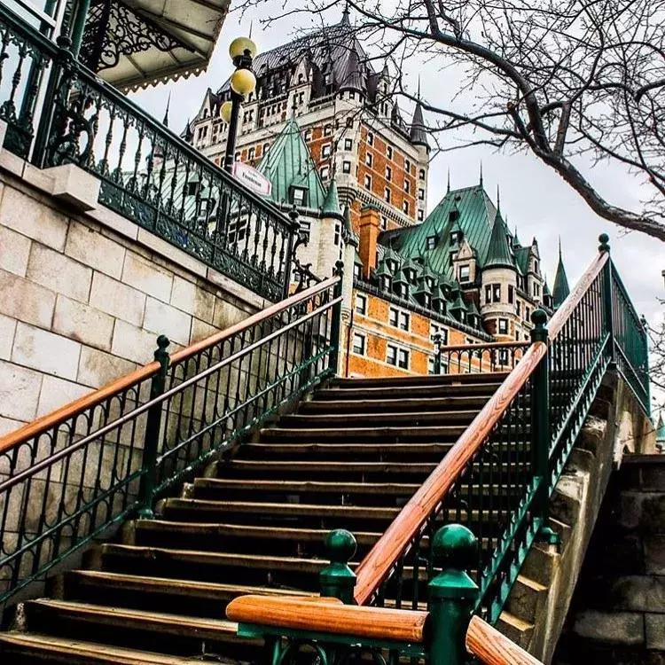 送孩子出国的忠告,送孩子出国有什么忠告