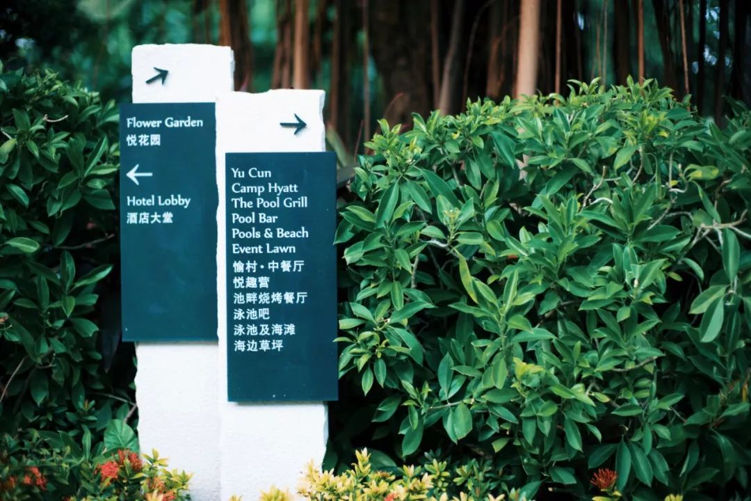 三亚海棠湾君悦至尊海景房,三亚海棠湾性价比5居别墅