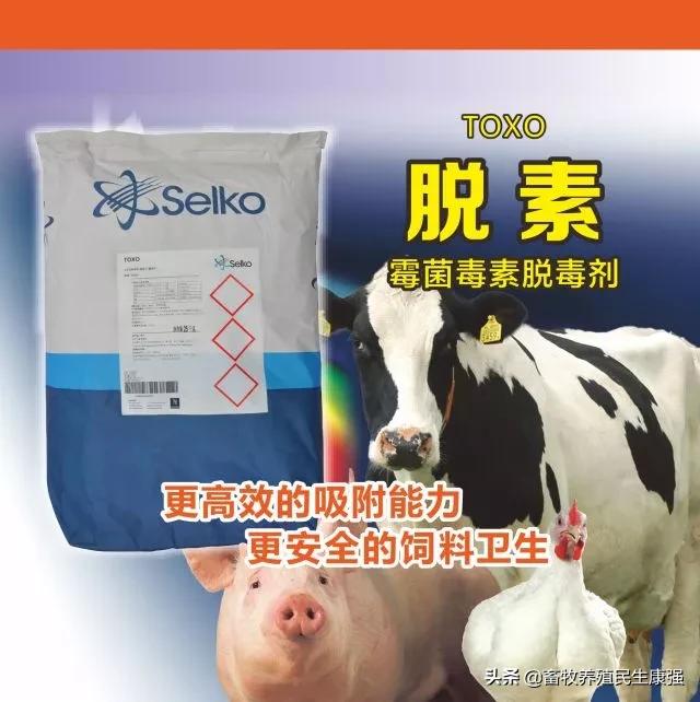 关于牛羊养殖出现问题,牛羊生产与疾病防治