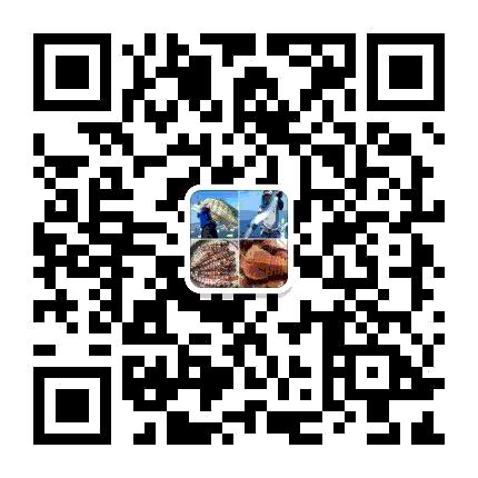 渔民说出海鲜内幕,直播海鲜市场买海鲜骗局曝光