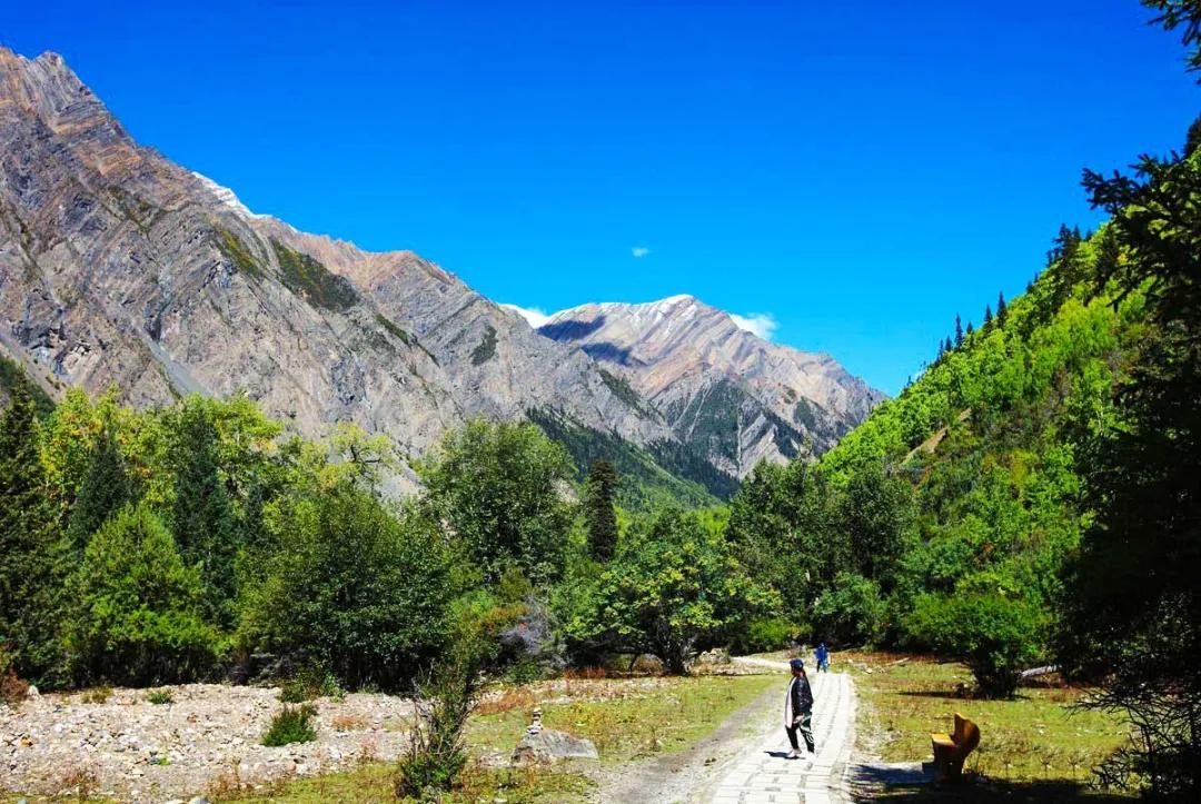 适合夏天去旅游的自驾路线,适合夏季的自驾游路线推荐