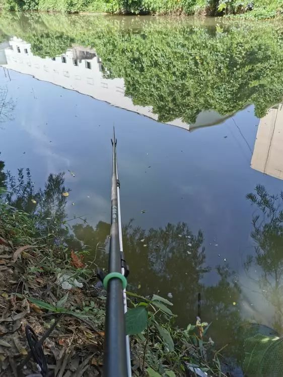 本汀天狐斩月刀裸棍版什么样,本汀裸棍好用吗