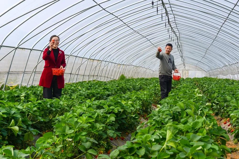 安徽滁州风景美如画,滁州市美景