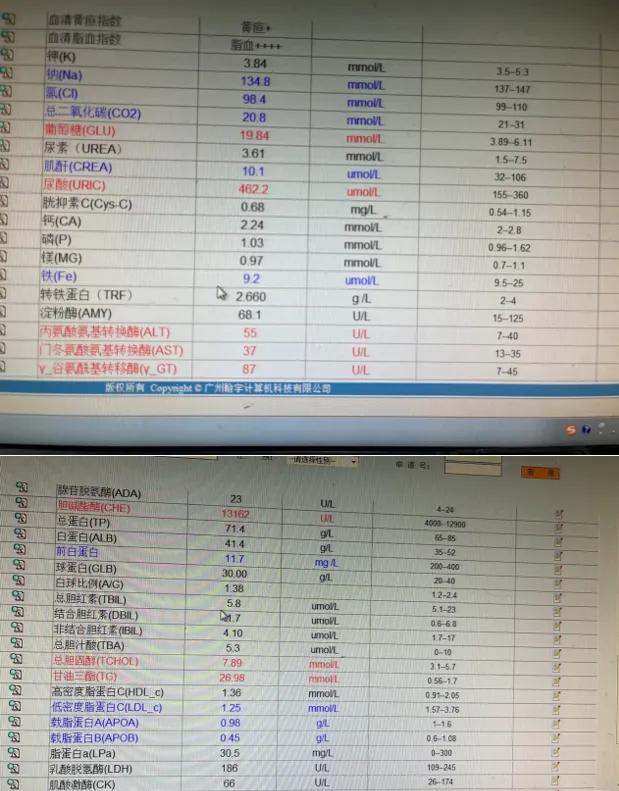 “游走”在全身的油脂，可能随时抢夺你的生命