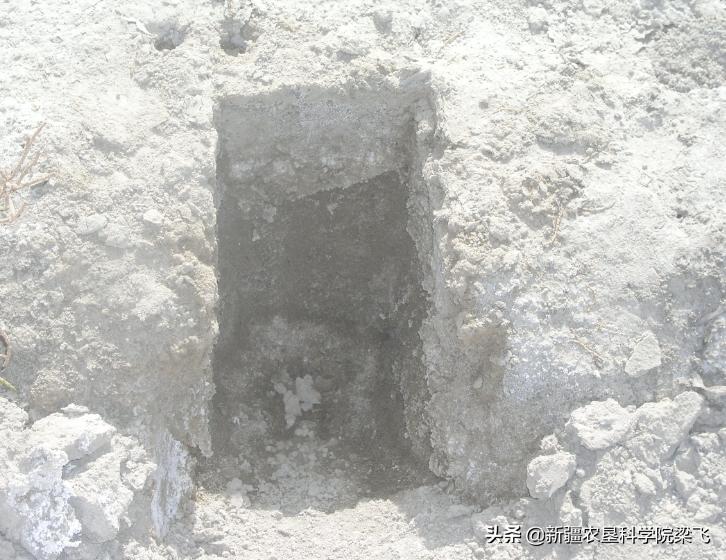 盐碱地可以用醋来稀释吗,土壤盐碱化用白醋还是黑醋