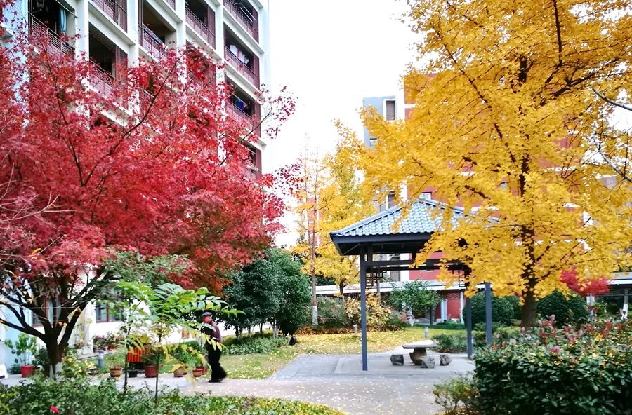 美尼尔氏眩晕症终身都不会自愈吗,美尼尔氏病的治疗方法