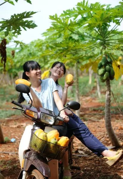 距海南20km有片处女地，比台湾风情比三亚便宜，路过都错过了