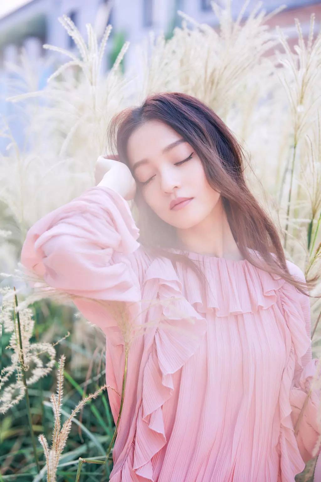 杨丞琳王心凌张韶涵蔡依林she热度,张韶涵周杰伦杨丞琳王心凌