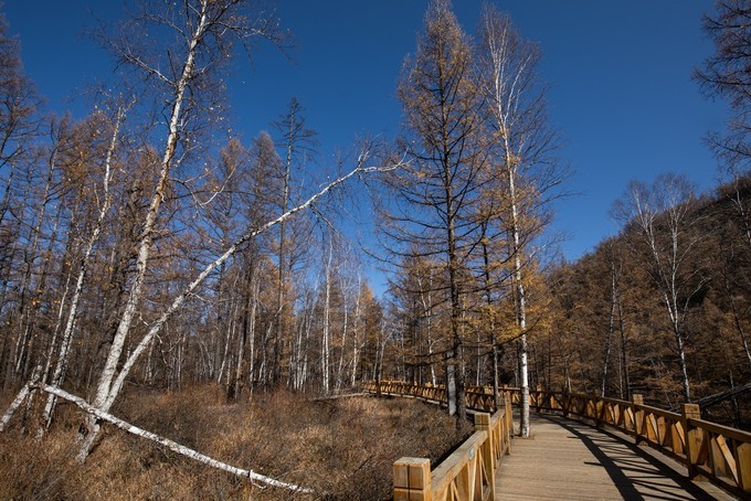 自驾呼伦贝尔｜七千里路云和月，写给秋天和自己的故事