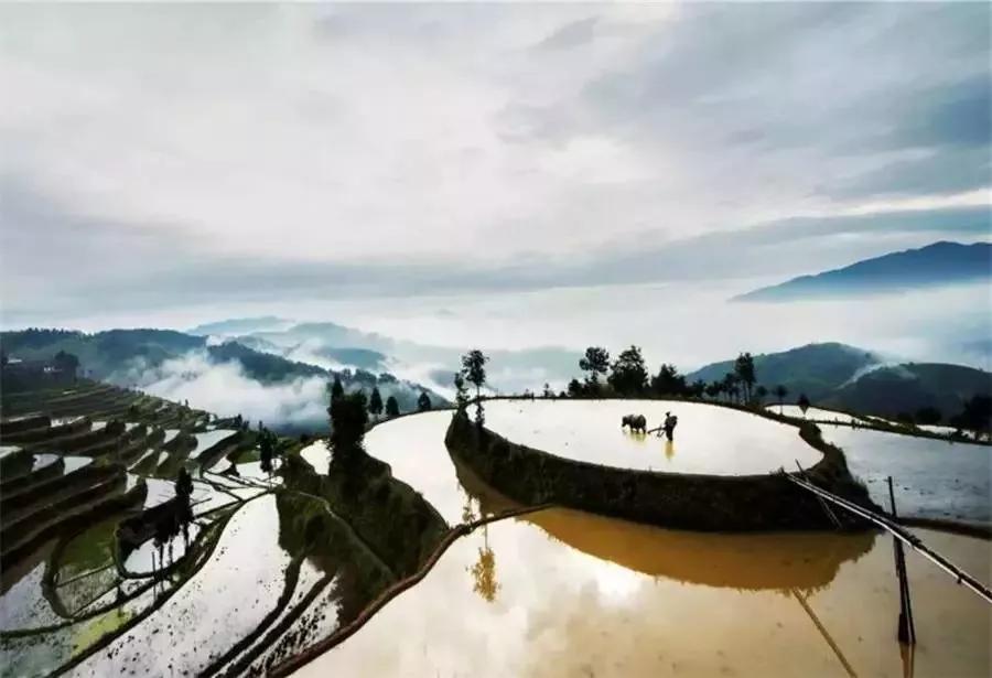 茗岙梯田航拍中国,茗岙梯田仙境