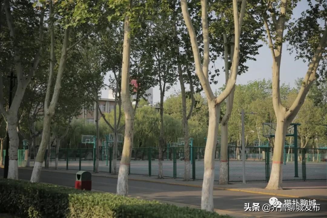 五个月未见面的聊城大学，现在你怎么样了？