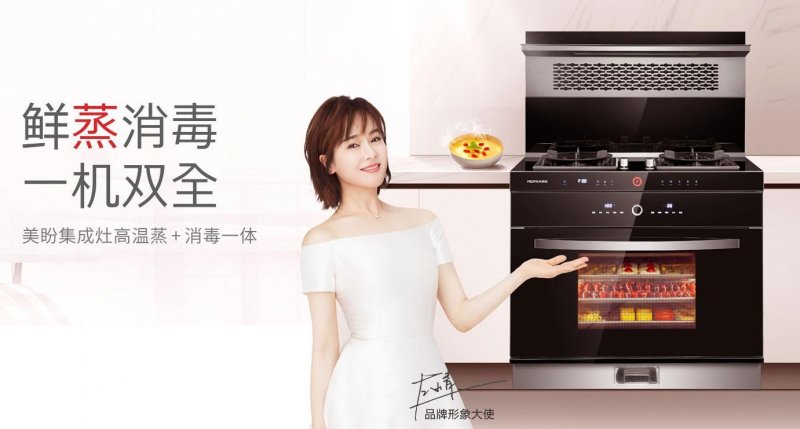 集成灶加盟品牌推荐,广东国内集成灶好用