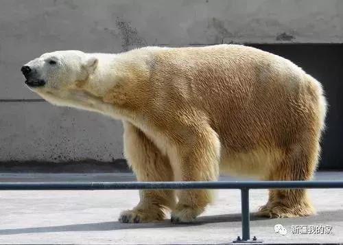 南公园，一代乌鲁木齐人的青春与回忆！