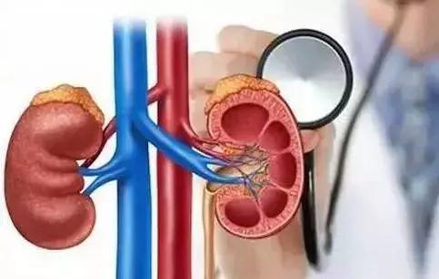 腰酸背痛精神不好缺什么,腰酸背痛感觉肾透支了