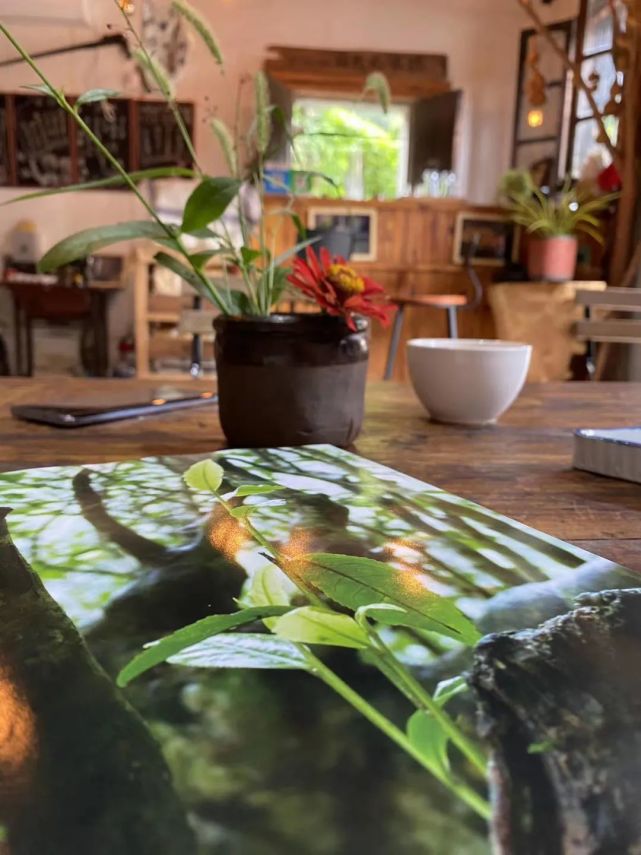 麦哲伦航线·第二站：阳产德味儿民宿合伙人-小丫TUYA