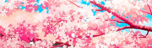 2019年昆明小升初学校排名,昆明公立高中好还是民办高中好