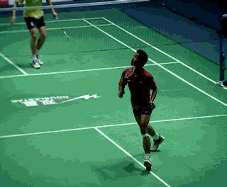 金秋诗画（学羽精华33.发力技巧）