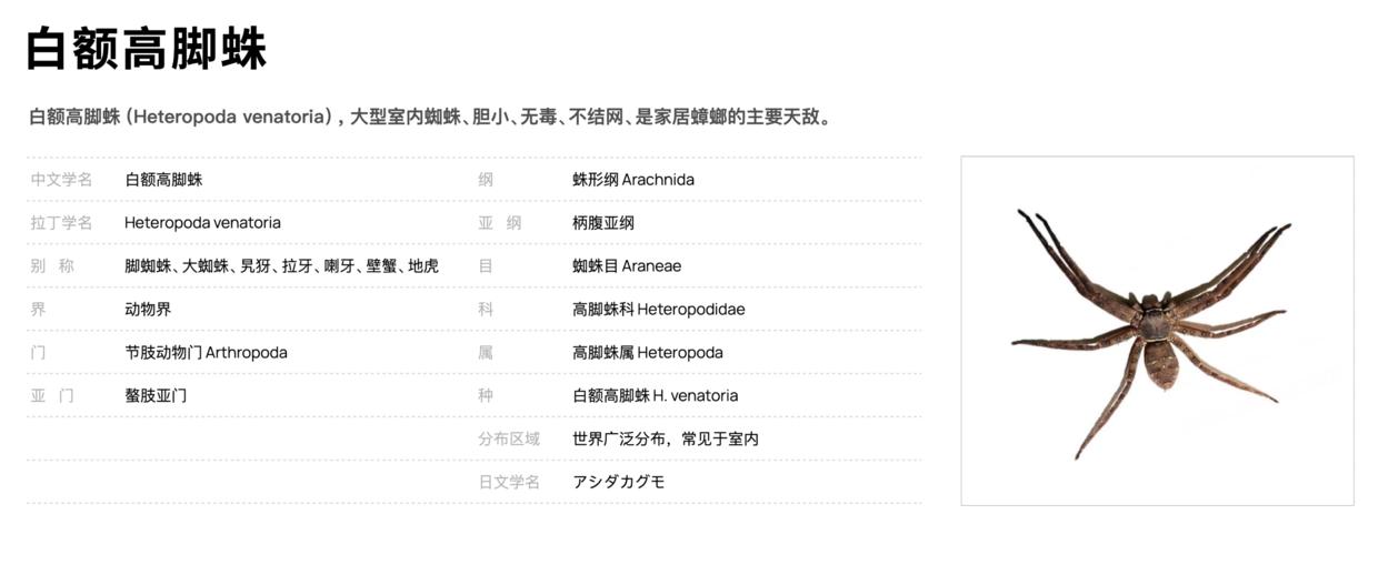 家中厨房蟑螂多怎么消除,家中有蟑螂怎么一网打尽