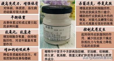 松鼠换夏毛需要关注什么,松鼠换毛是怎么换的