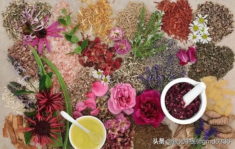 为什么中医不建议甲状腺结节消融,中药到底能不能治好甲状腺结节