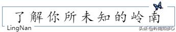 木瓜的学名还有哪些,木瓜科普知识
