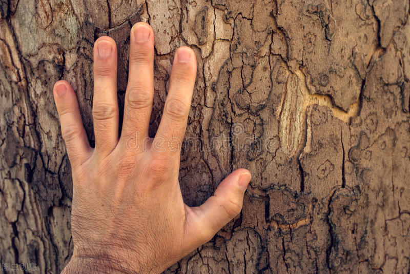 有效的类风湿治疗方案绝不是药物越多越好，而是需要考虑这些因素